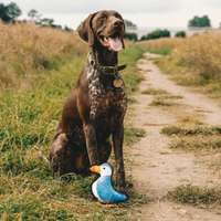 Beco Rough & Tough Toy Puffin Medium