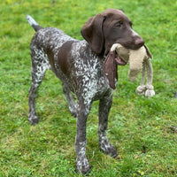 Green & Wild Desmond Duck Eco Dog Toy Jute & Suede