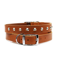 Ancol Bridle Leather Sewn Studded Collar Brown