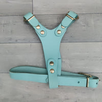 Genuine Blue Leather Adjustable Bull Terrier Puppy Harness 46-59cm Brass Fittings - British By Design