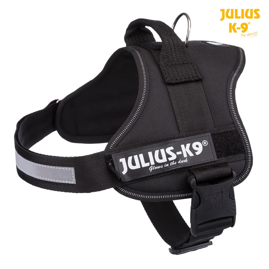 Julius-K9® Powerharness Hills Pet Shop