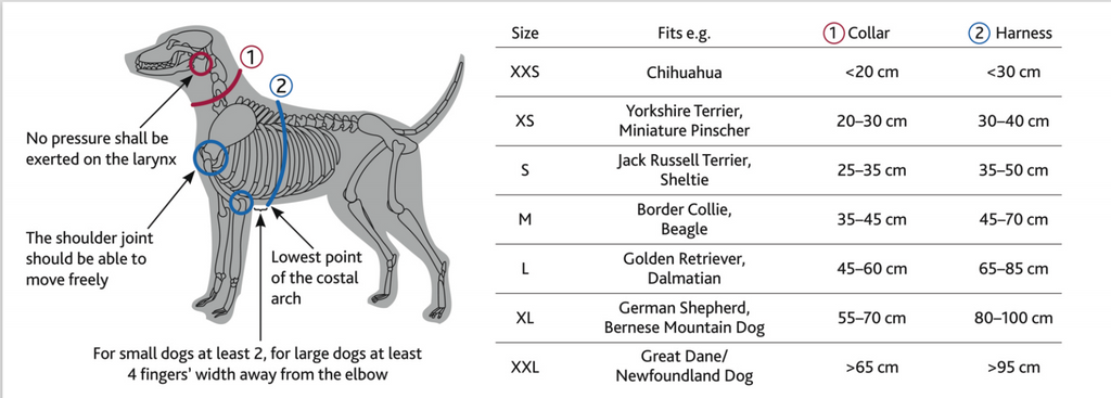 Trixie clearance touring harness