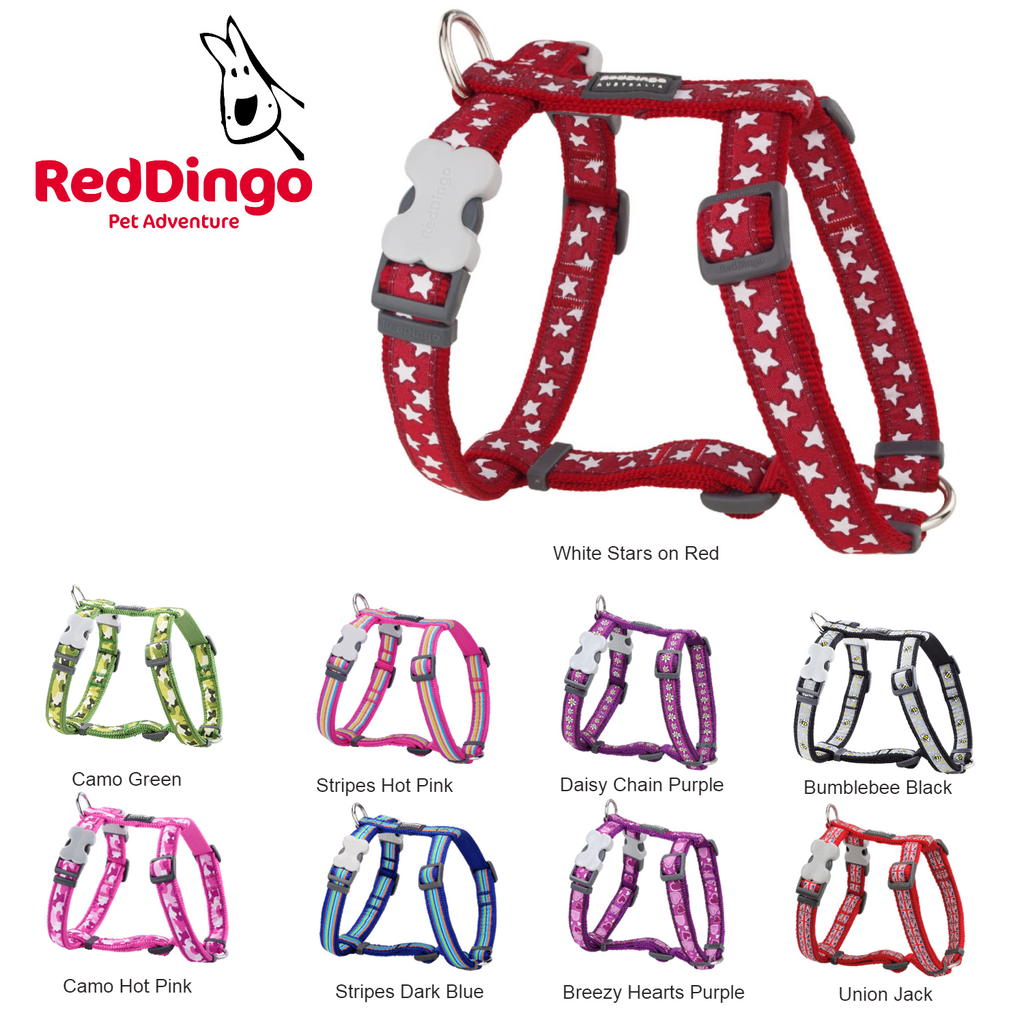 Red Dingo Designer Dog Harness Hills Pet Shop