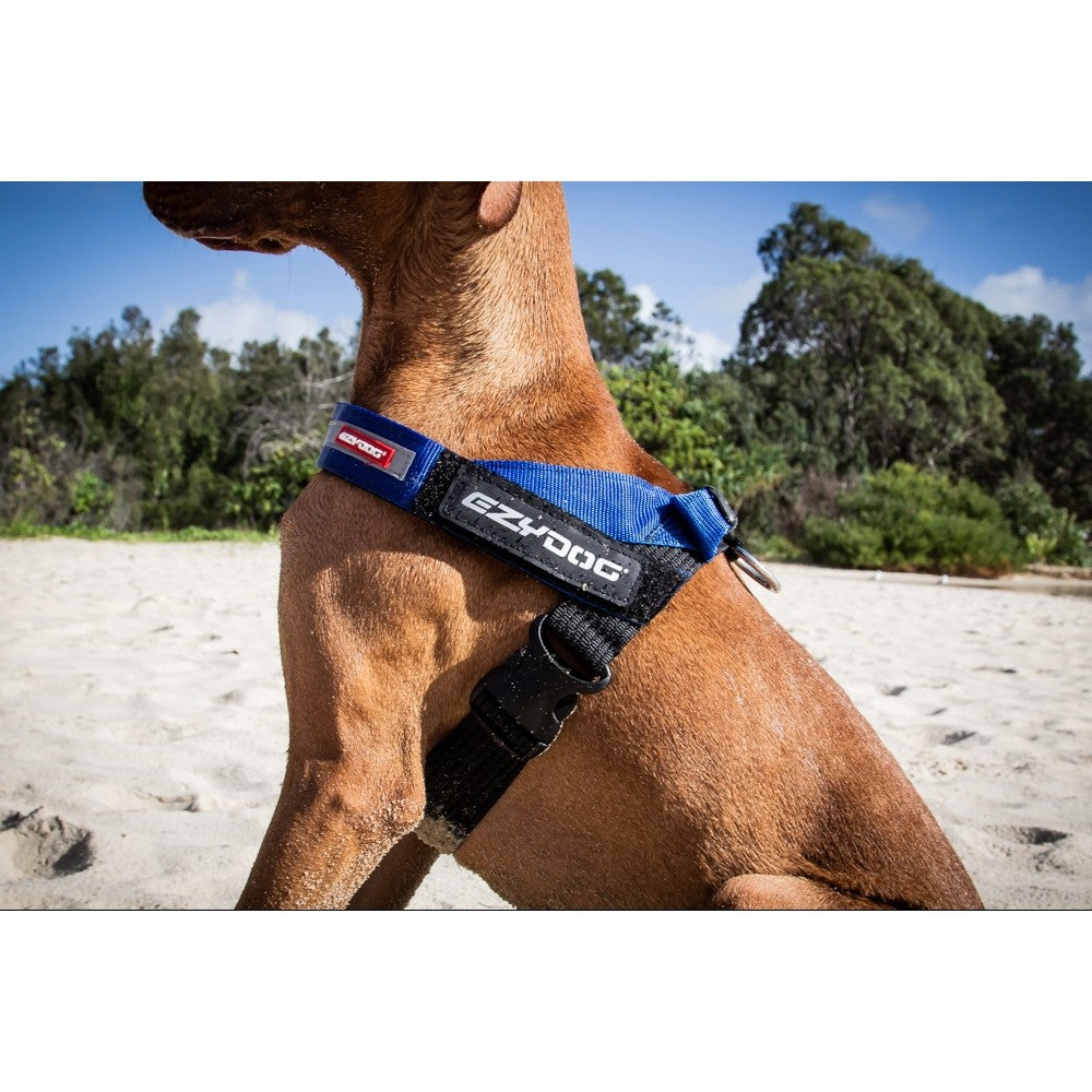 Ezydog medium deals harness