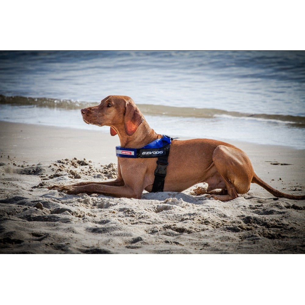 Ezydog express harness outlet