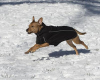 Dog Gone Smart Olympia Softshell Dog Coat Nanoprotection Technology Red Or Black - Three Sizes