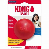 KONG Ball with Hole - Large