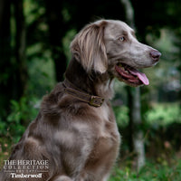 Ancol Timberwolf Leather Collar Sable