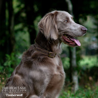Ancol Timberwolf Leather Collar Sable