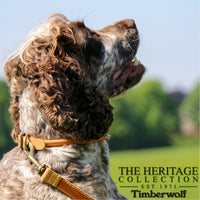 Ancol Timberwolf Round Collar Mustard (28-36cm)