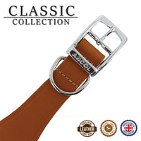 Ancol Genuine Leather Greyhound Whippet Collar Tan & Black