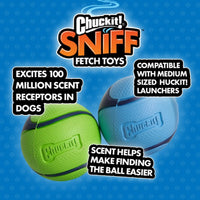Chuckit! Sniff Fetch Balls Duo Medium 2 Pack