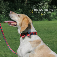 Ancol Soho Collection Tartan Patterned Collar