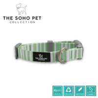 Ancol Soho Collection Stripe Patterened Collar