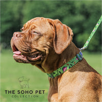 Ancol Soho Collection Dino Patterned Collar
