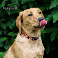 Ancol Soho Maple Leaf Patterned Collar