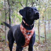 Ancol Soho Maple Leaf Patterned Collar