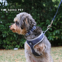 Ancol Soho Collection Polka Dot Patterned Collar