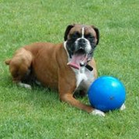 CoA Boomer Ball Ultimate Tough Dog Toy 6`