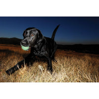 Chuckit Max Glow Launcher With Glow Ball 25M Pro 68cm