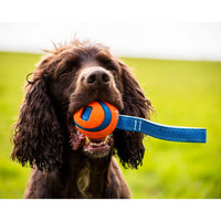 Chuckit Tug Shake TossUltra Tug Small 4.8cm