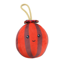 Ancol Barry Bauble Dog Toy