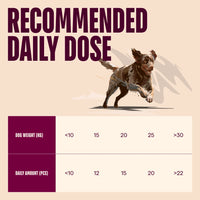 Carnilove Lamb with Cranberries Dog Treats 200g