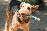 CHUCKIT! ECO FETCH ULTRA STICK