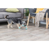 Trixie Denta Fun stick with rope, natural rubber 9 cm/37 cm