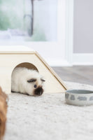 Trixie Ceramic Bowl With Motif, Guinea Pigs 250 Ml/ø 11 Cm