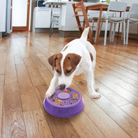 KONG Licks Spinz Small Treat Dispensing & Slow Feeder