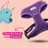 Doodlebone Adjustable Bold Airmesh Harness