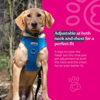 Doodlebone Adjustable Bold Airmesh Harness