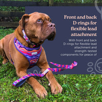 Doodlebone Adjustable Bold Airmesh Harness
