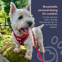 Doodlebone Adjustable Bold Airmesh Harness