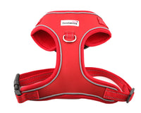 Doodlebone Adjustable Bold Airmesh Harness