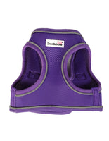 Doodlebone Bold Snappy Harness