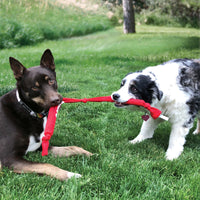 Kong Signature Crunch Rope Double Medium