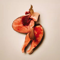 Carnilove Salmon with Blueberries Dog Treats 200g