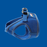 Doodlebone Bold Snappy Harness