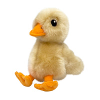 KONG Toughz Duck Dog Toy - Medium