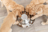 Trixie Puppy Bowl, Stainless Steel