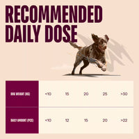 Carnilove Quail With Oregano Dog Treats 200g