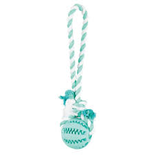 Denta Fun natural rubber ball on a rope 7 cm/24 cm