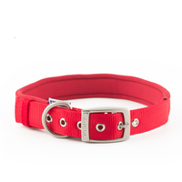 Ancol Dog Nylon Padded Collar Red 25mm X56-66cm, XL