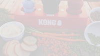 KONG Fill Or Freeze Tray