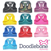Doodlebone Bold Snappy Harness