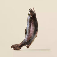 Carnilove Trout With Dill Dog Treats 200g
