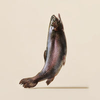 Carnilove Trout With Dill Dog Treats 200g