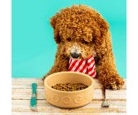 Mason Cash Lettered Dog Bowl 6`